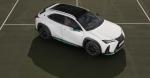 Lexus UX250h Tennis Cup 2019 года (ES)